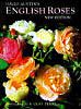 David Austins´s English Roses