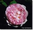 Duchesse de Montebello