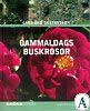 Gammaldags Buskrosor