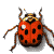 Nyckelpiga