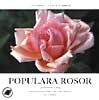 Populära Rosor : 50 Favoriter I Färg