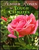 Tender Roses for Tough Climates