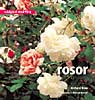 Trädgård med färg: Rosor