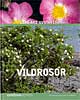 Vildrosor